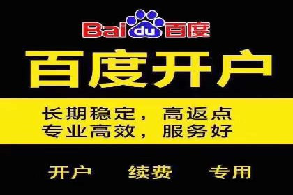 竞价广告与自然搜索的结合策略：XX网站的案例分析